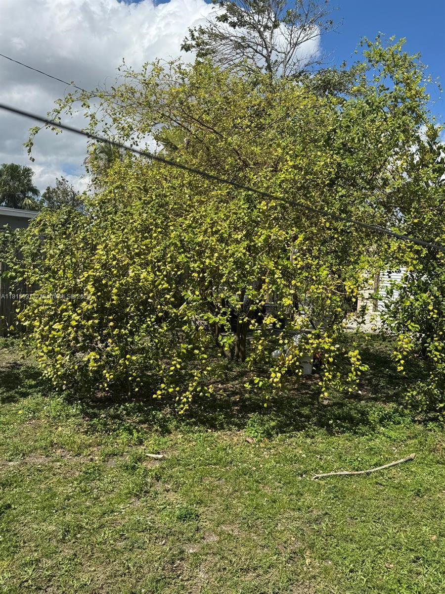 6309 Wiley St, Hollywood, Florida image 37