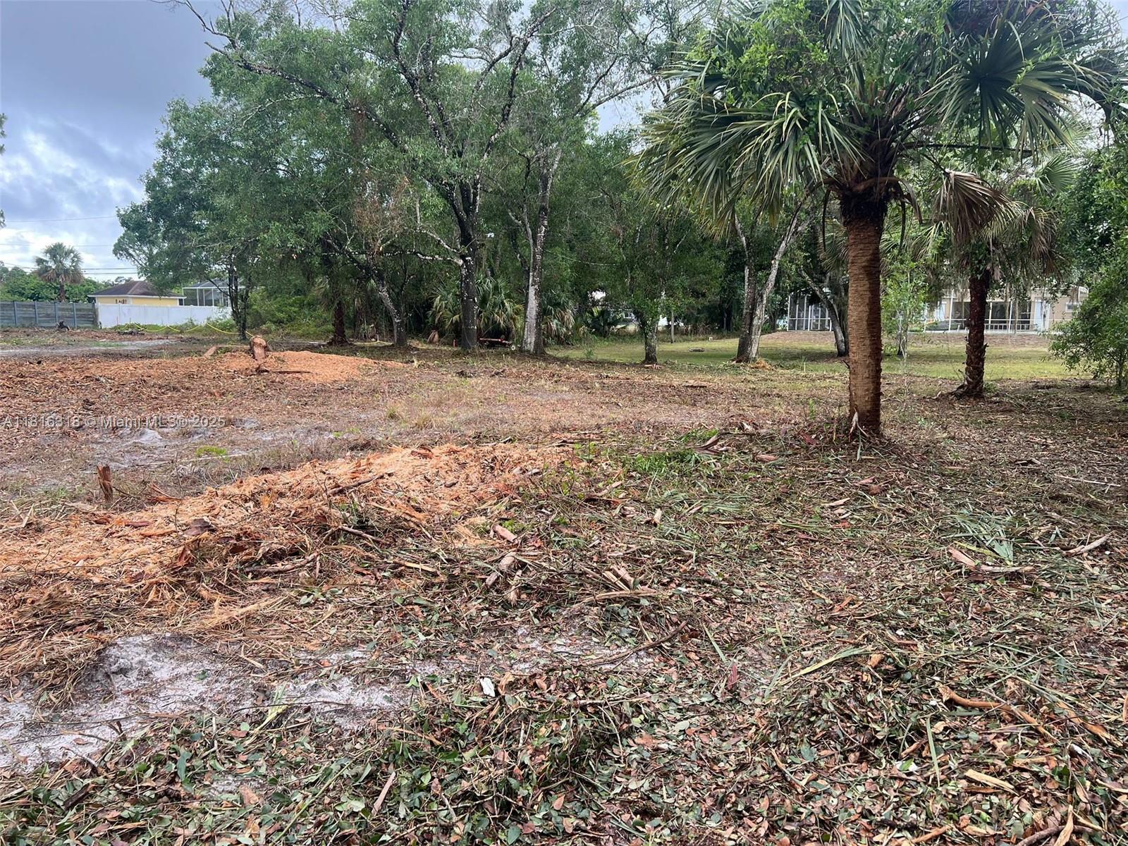 17 Rosevelt Ave, Lehigh Acres, Florida image 5