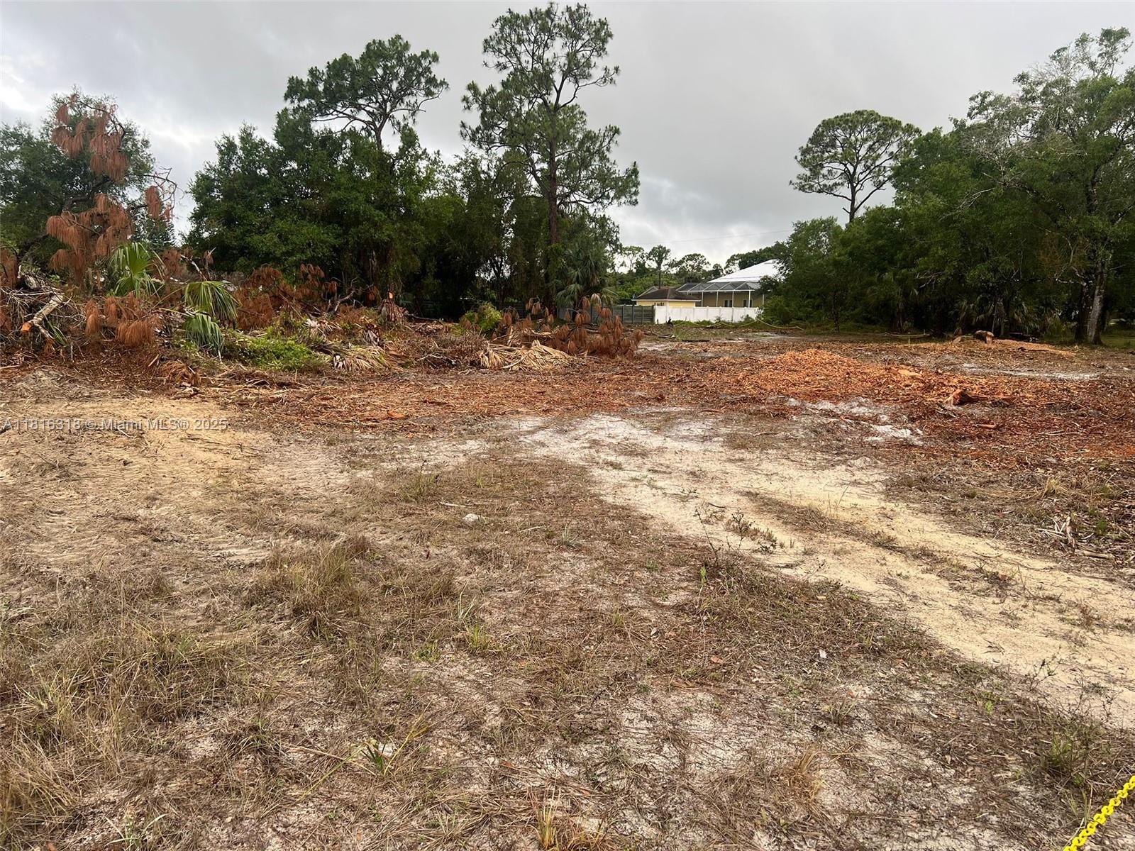 17 Rosevelt Ave, Lehigh Acres, Florida image 9