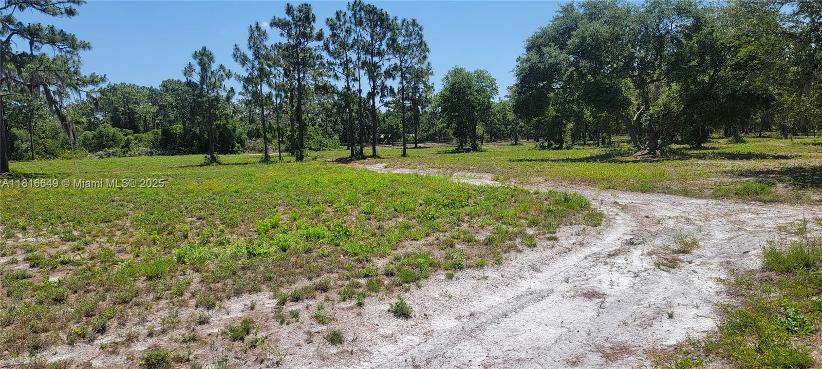 Rosalie Lake Rd, Lake Wales, Florida image 3