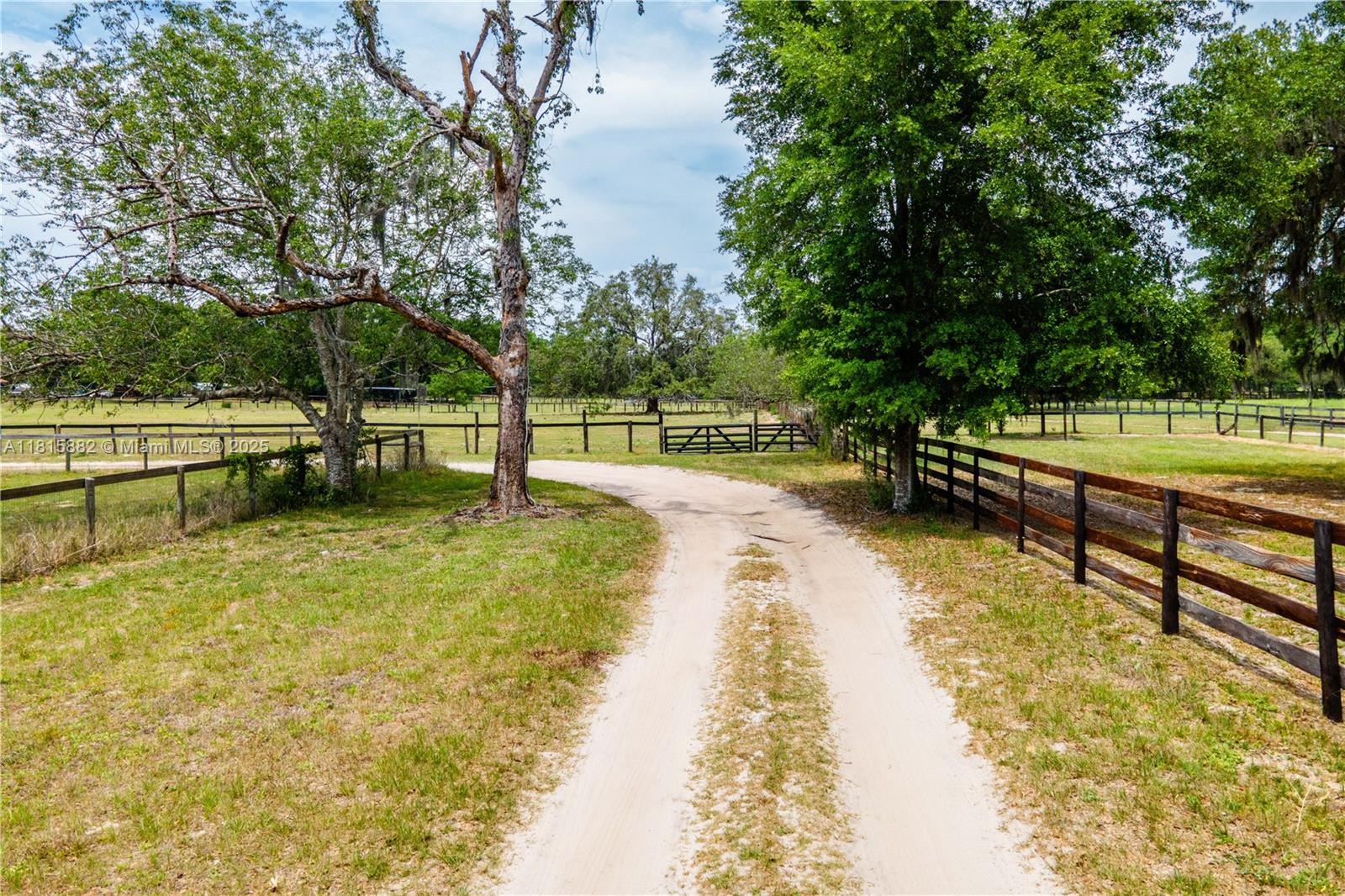 10631 W Hwy 40, Ocala, Florida image 3
