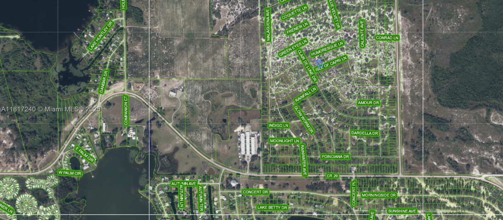 462 Isle Of Capri Ln, Lake Placid, Florida image 6