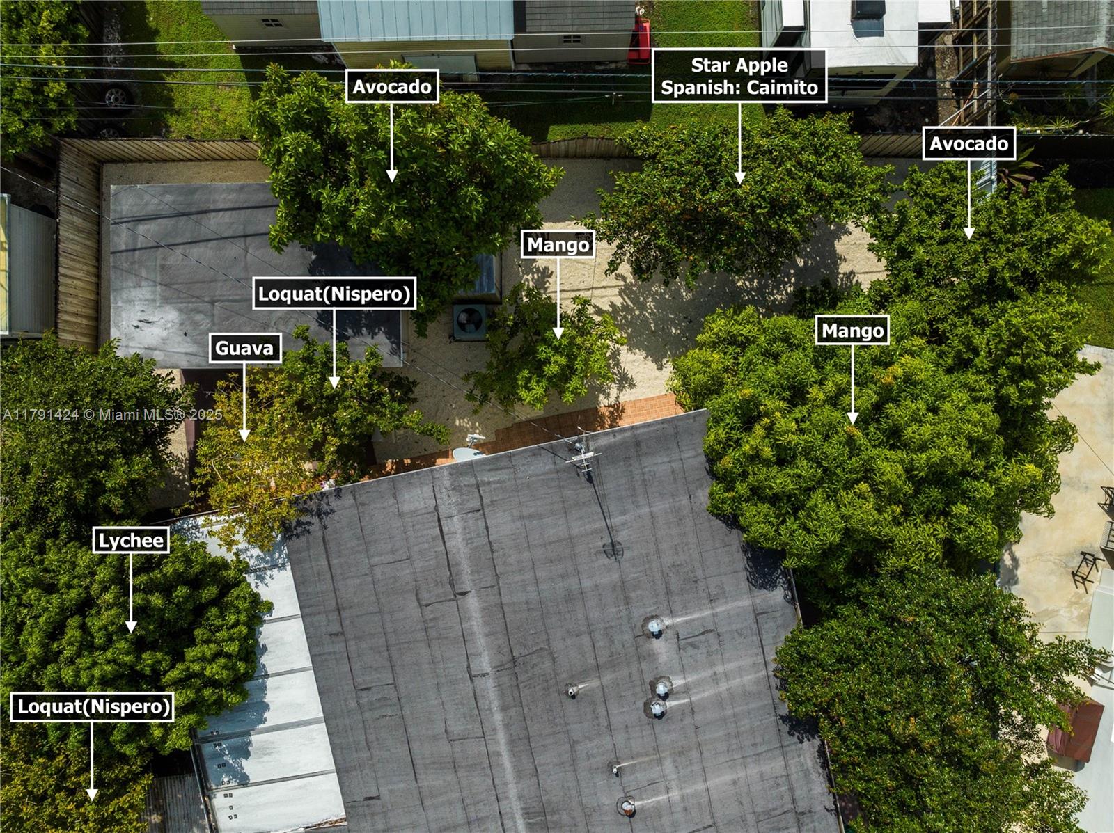 11020 SW 55th St, Miami, Florida image 35
