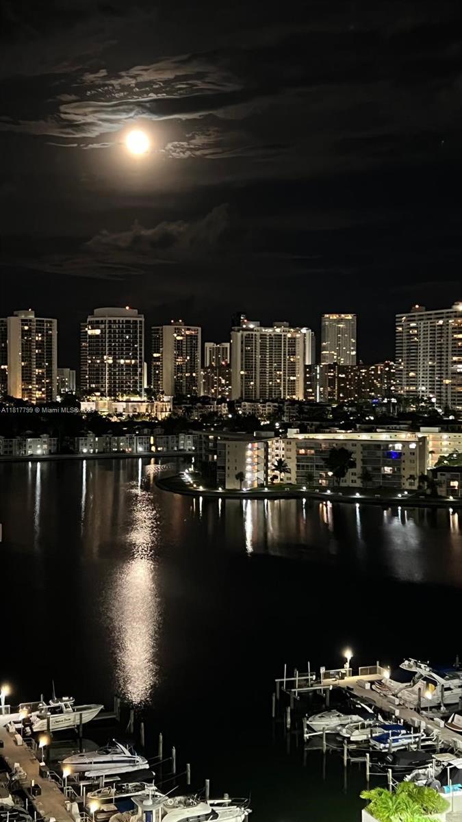 18051 Biscayne Blvd #1501, Aventura, Florida image 36