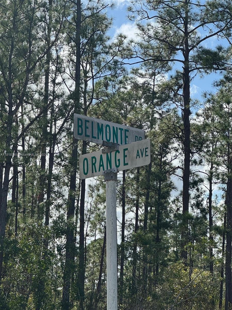 806 Belmonte Drive, Lake Wales, Florida image 3