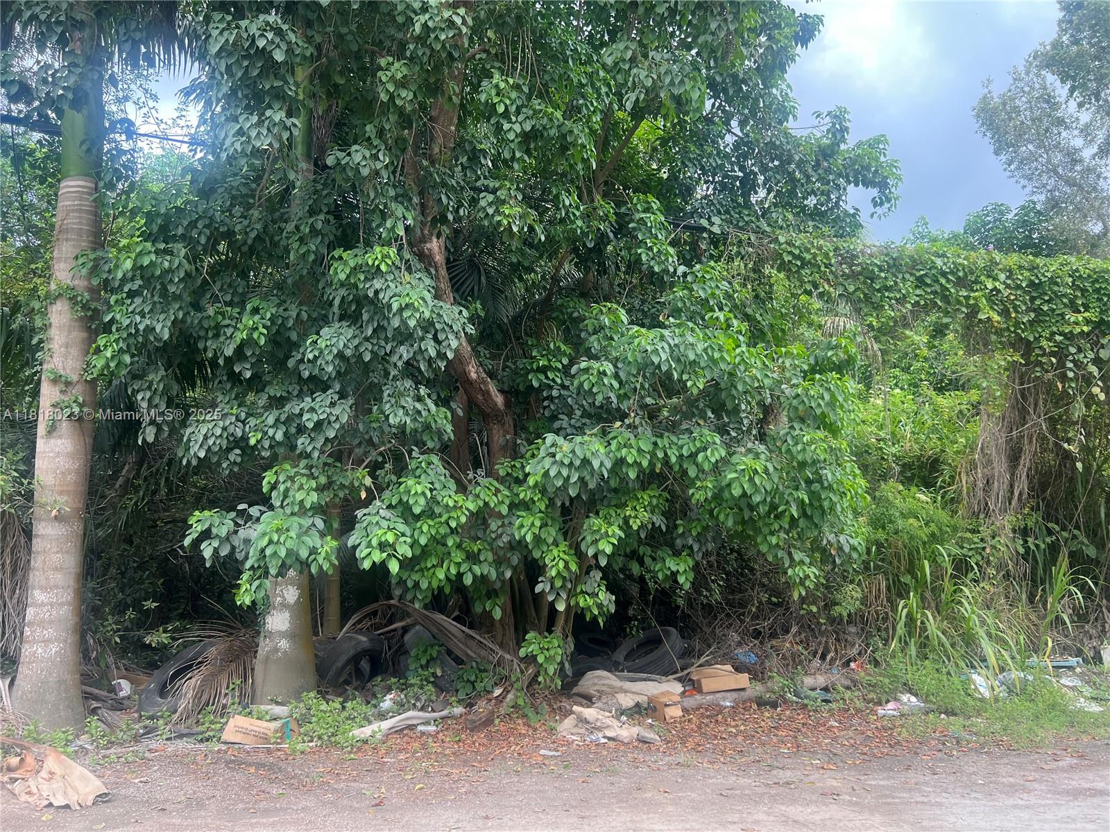Land, Hialeah, Florida image 12