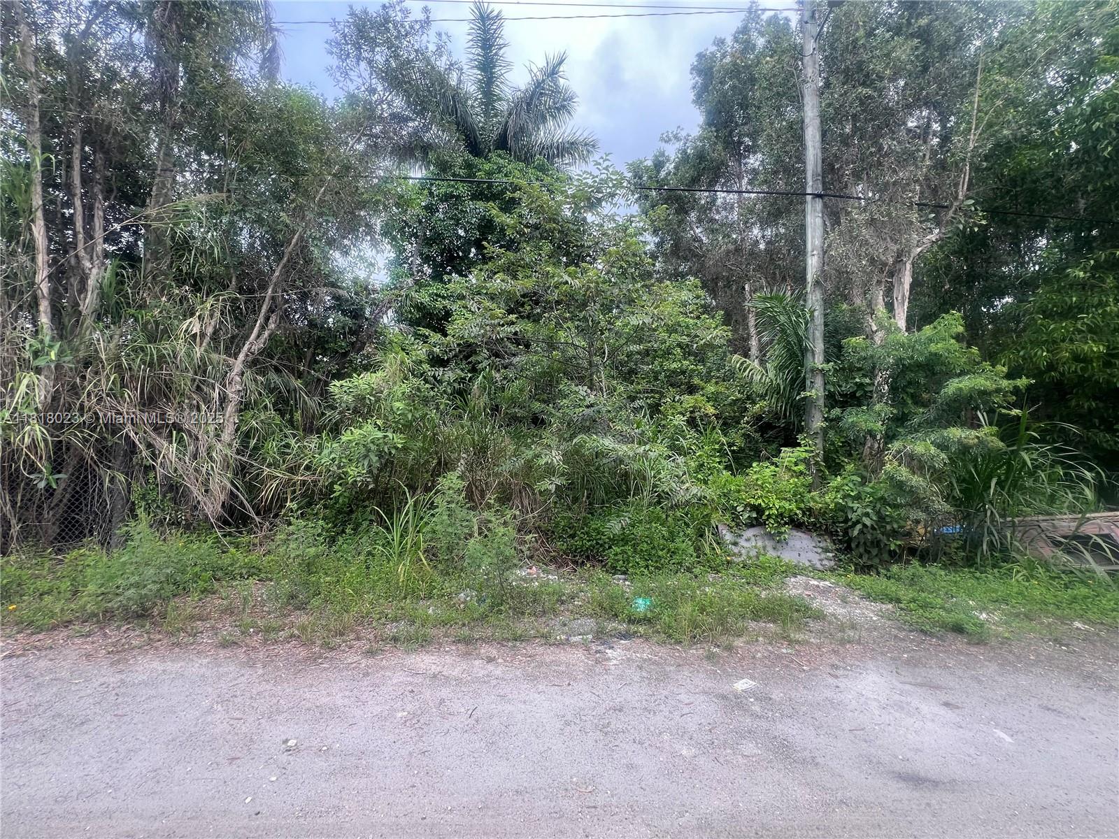 Land, Hialeah, Florida image 13