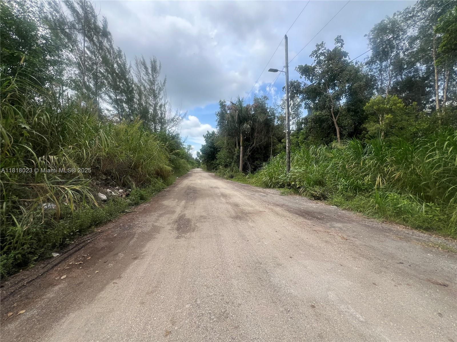 Land, Hialeah, Florida image 14