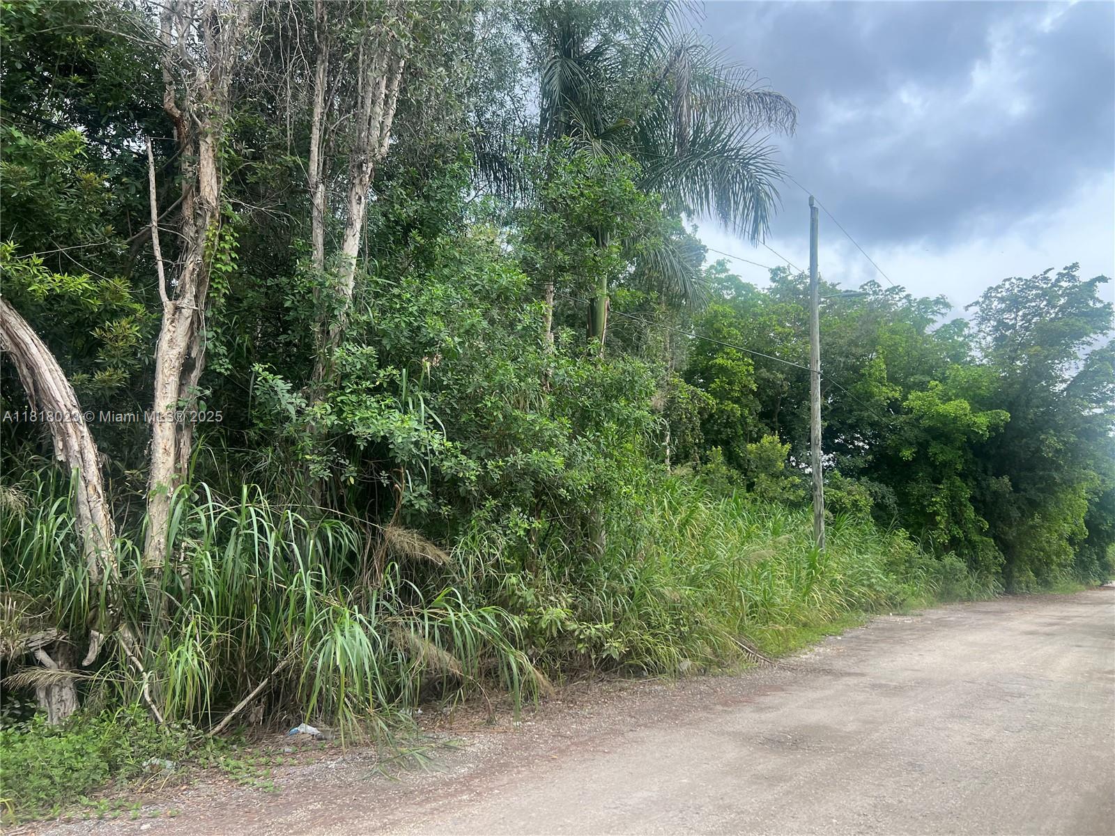 Land, Hialeah, Florida image 15