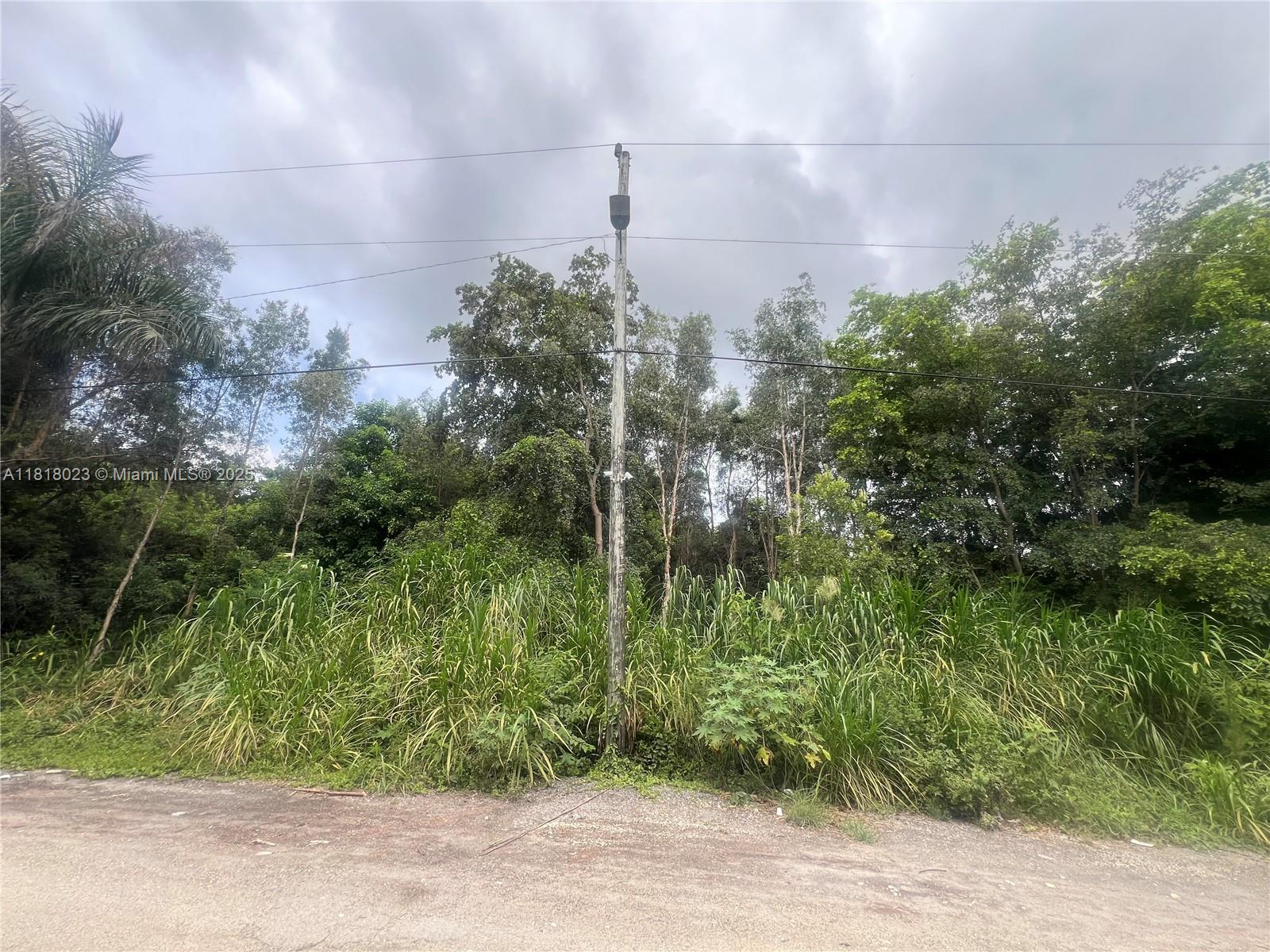 Land, Hialeah, Florida image 17