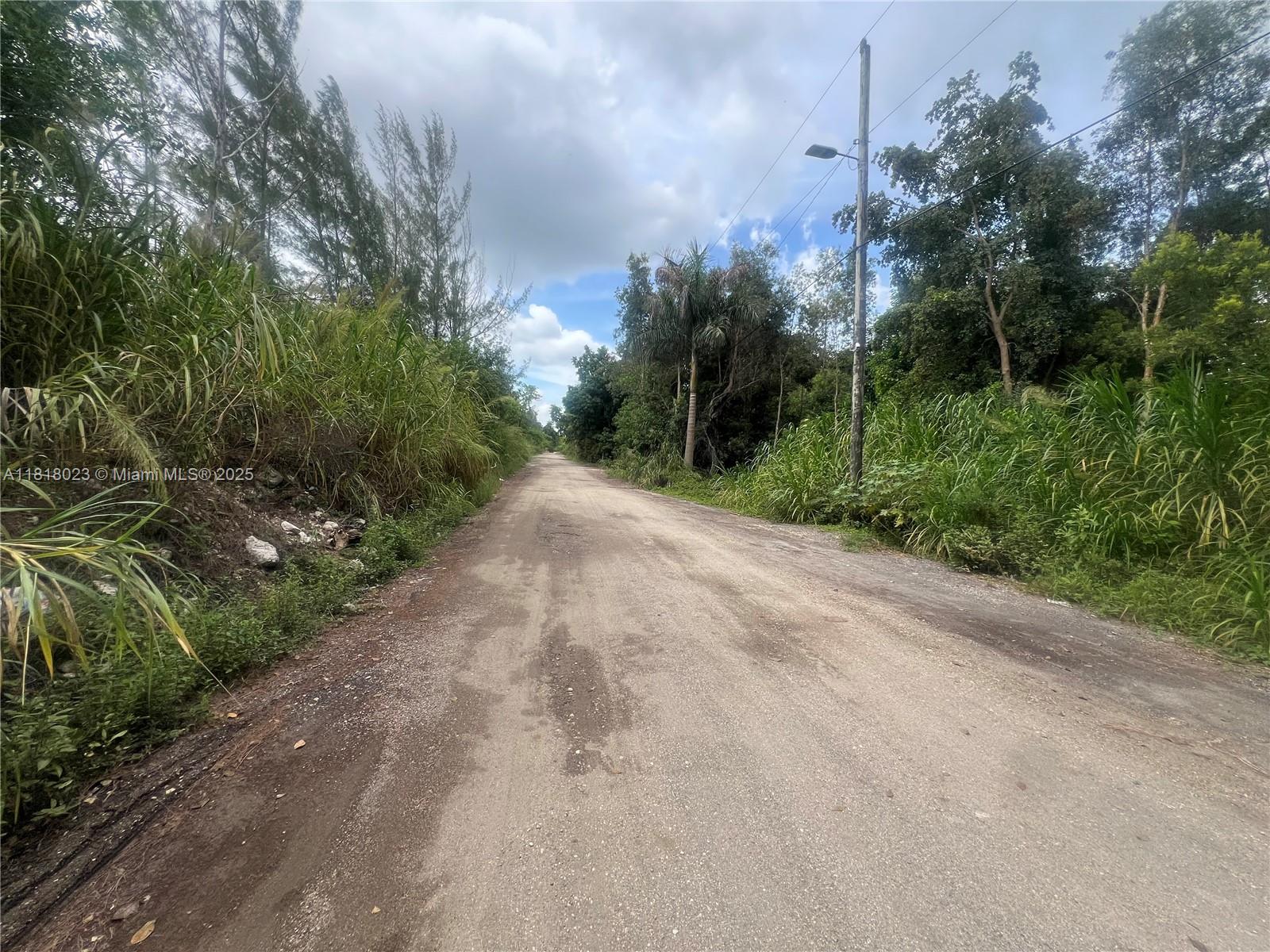 Land, Hialeah, Florida image 18
