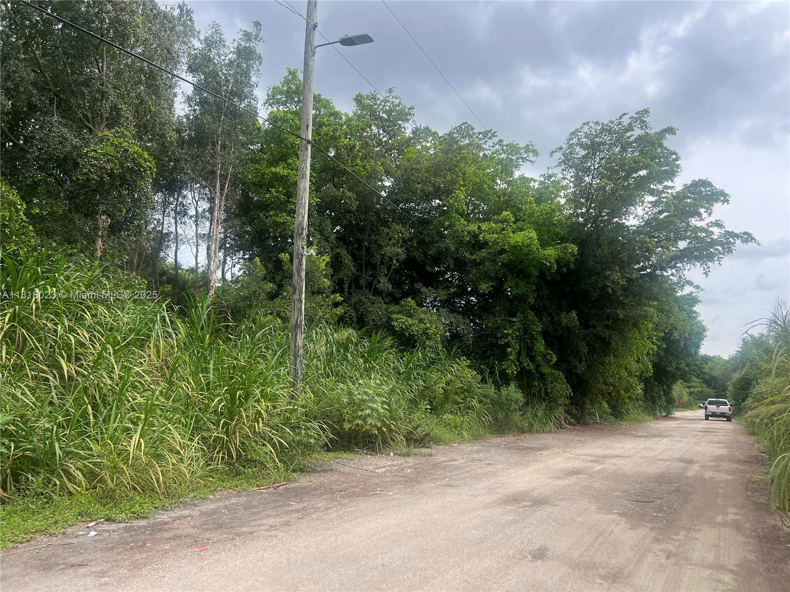 Land, Hialeah, Florida image 22