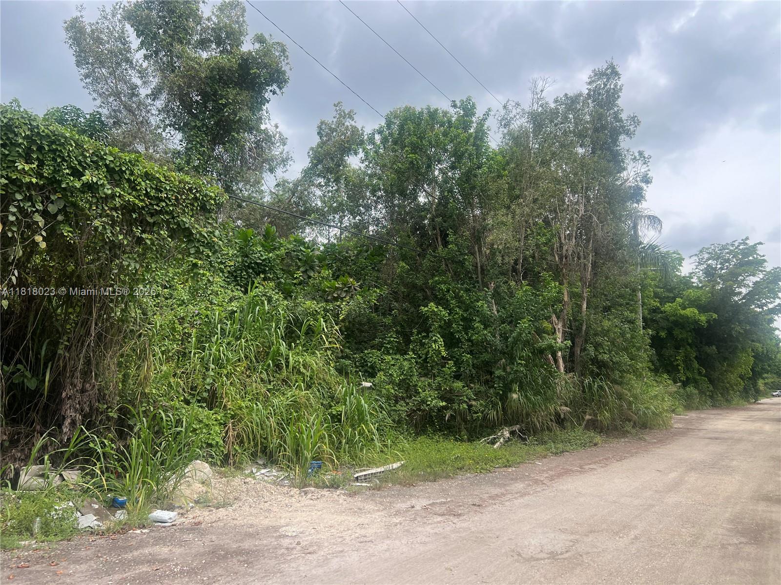 Land, Hialeah, Florida image 24