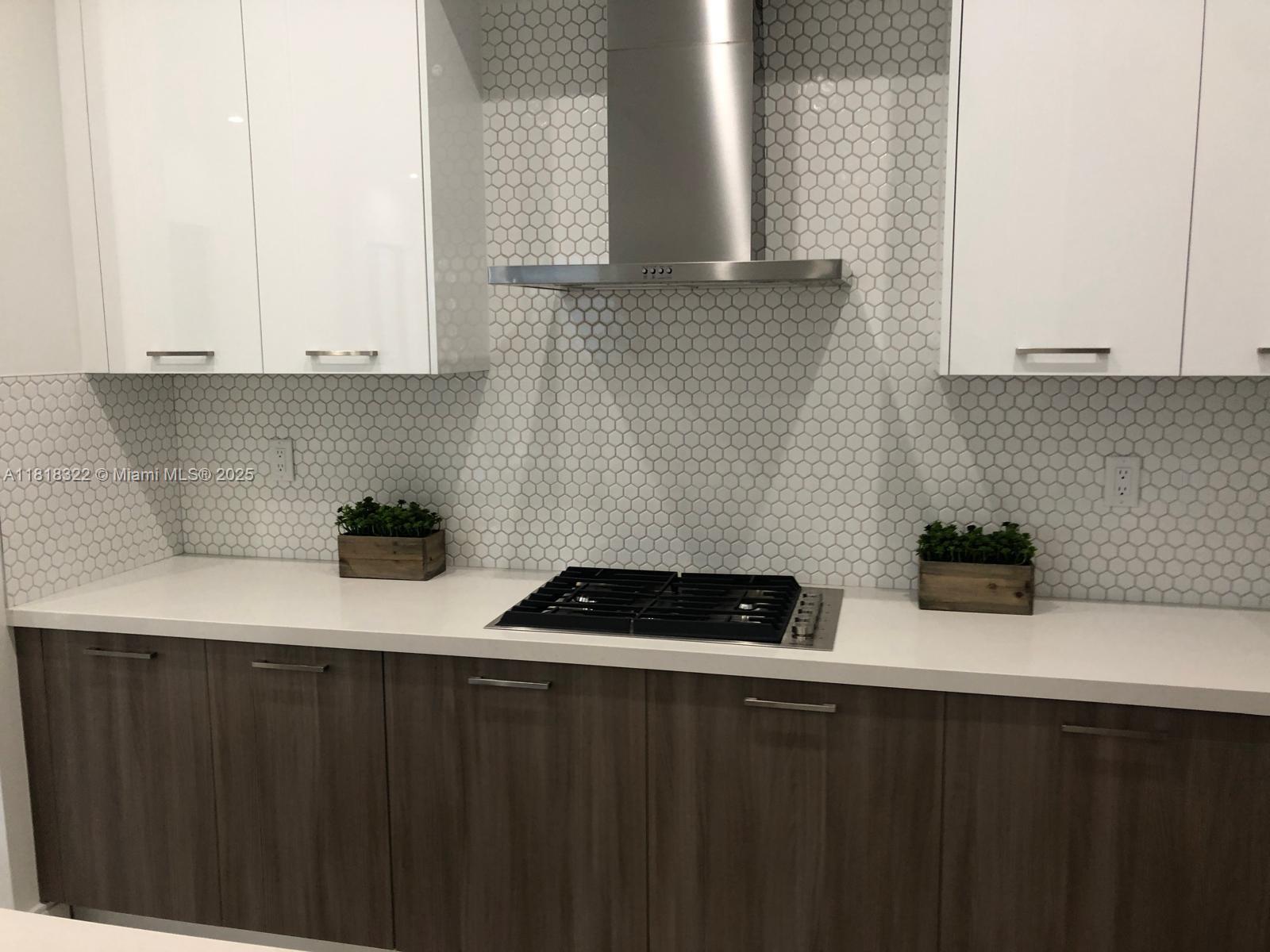 Residential, Doral, Florida image 23
