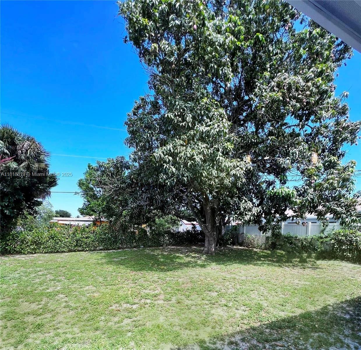 730 Alabama Ave, Fort Lauderdale, Florida image 5