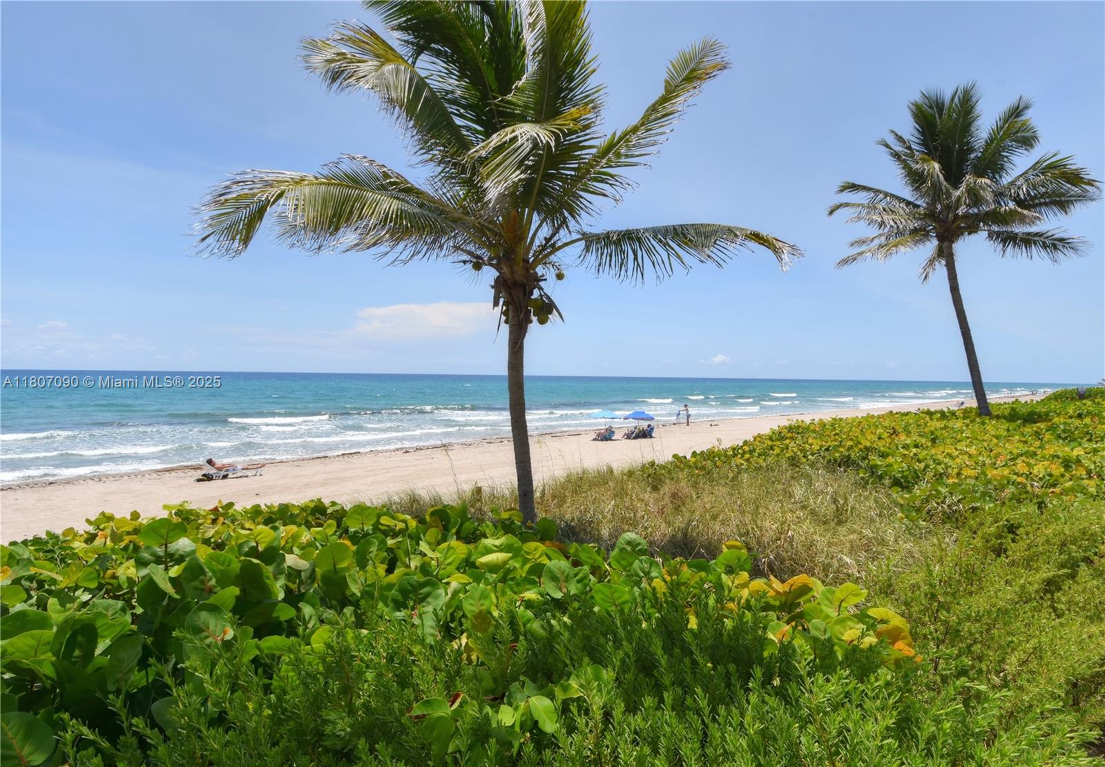 3101 S Ocean Blvd #118, Highland Beach, Florida image 1