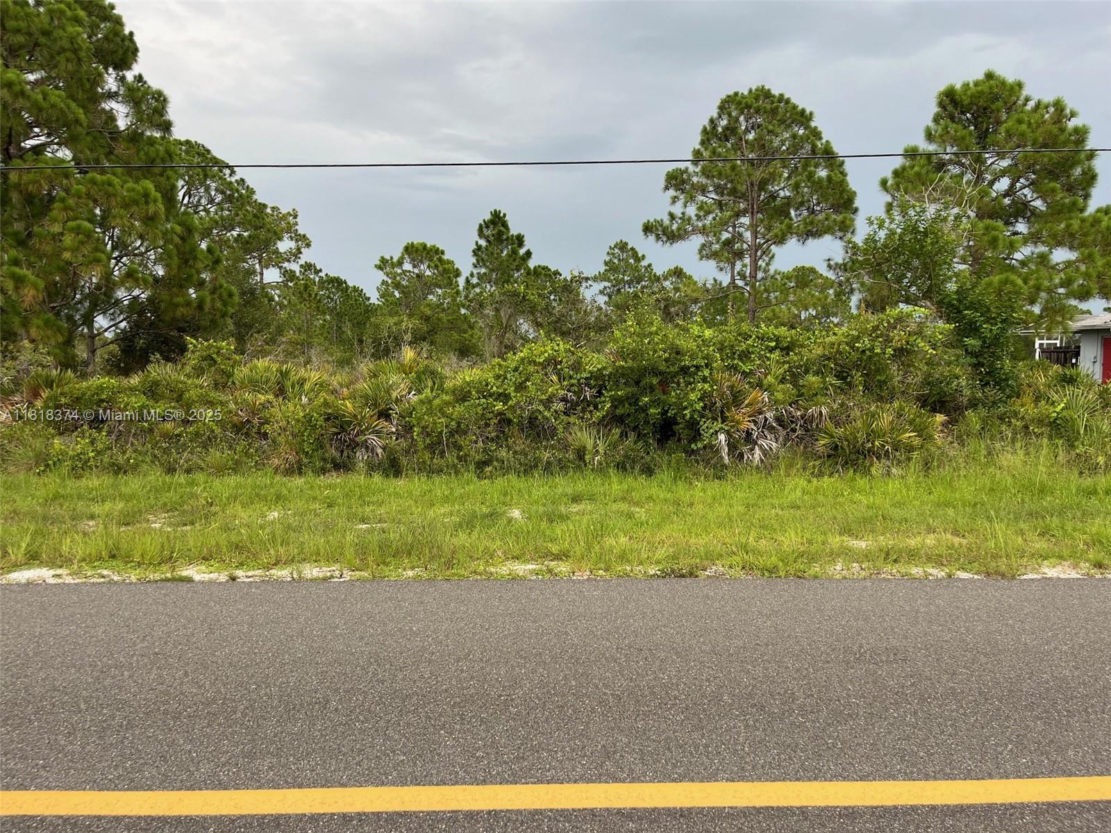 617 Washington Boulevard, Lake Placid, Florida image 1