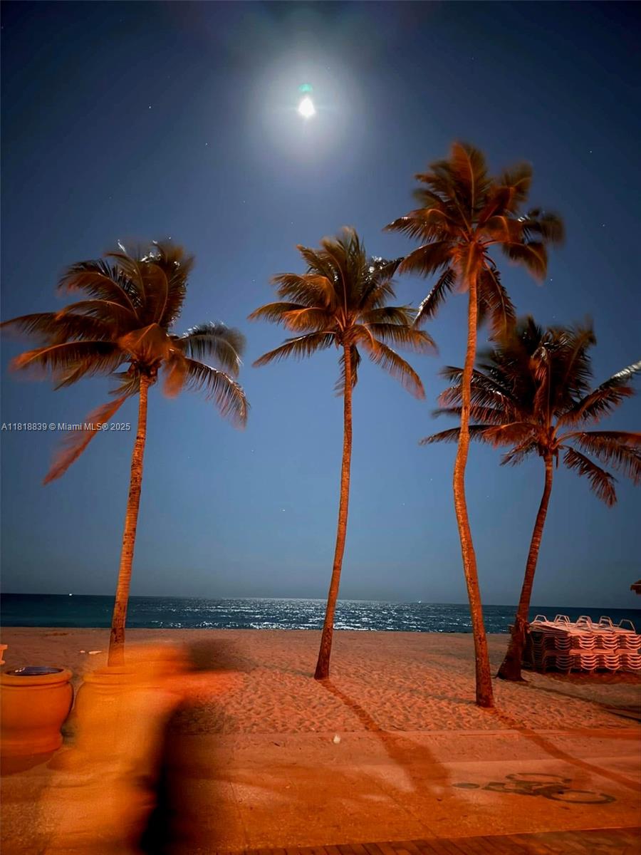 777 N Ocean Dr #N529, Hollywood, Florida image 34