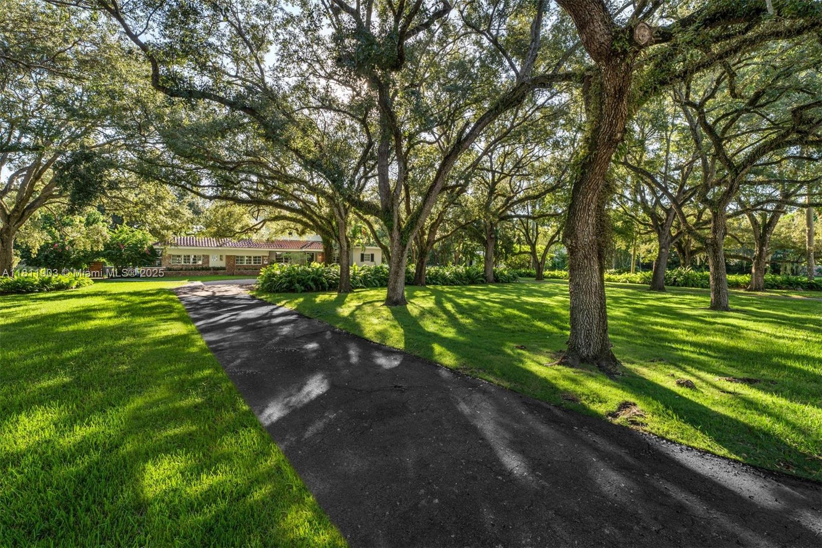 7301 Ponce De Leon Rd, Miami, Florida image 8