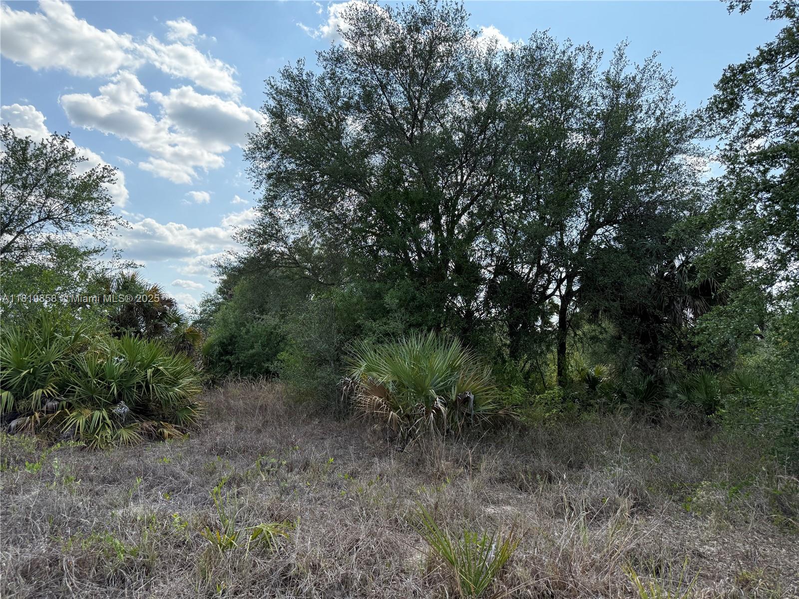120 N Verda St, Clewiston, Florida image 1