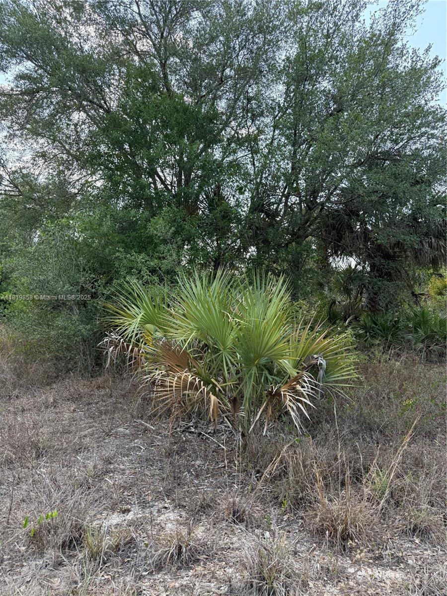 120 N Verda St, Clewiston, Florida image 11