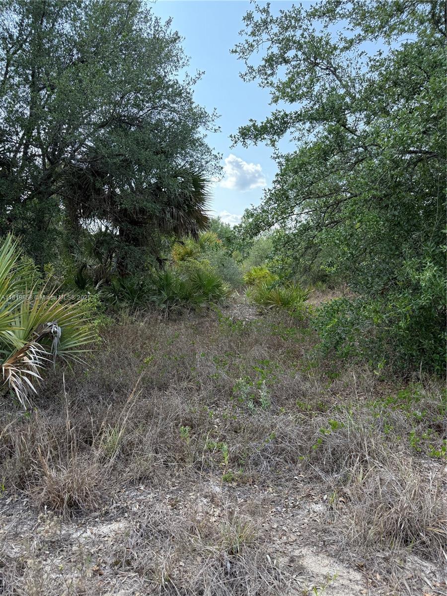 120 N Verda St, Clewiston, Florida image 14