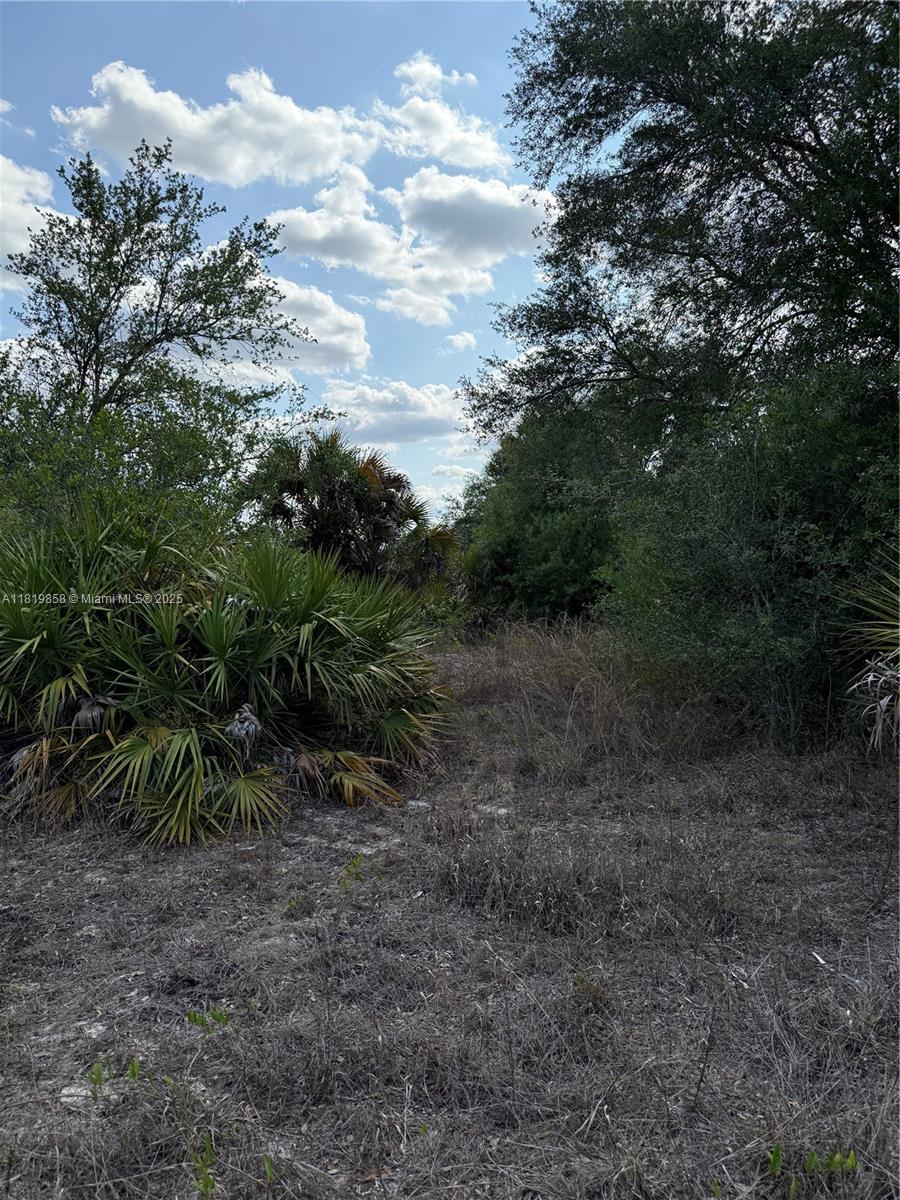 120 N Verda St, Clewiston, Florida image 16