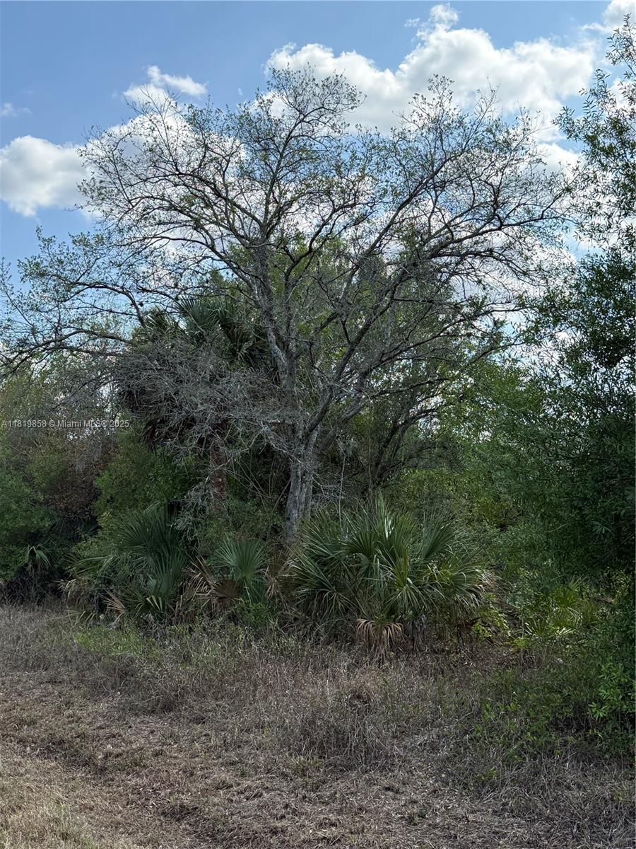 120 N Verda St, Clewiston, Florida image 20