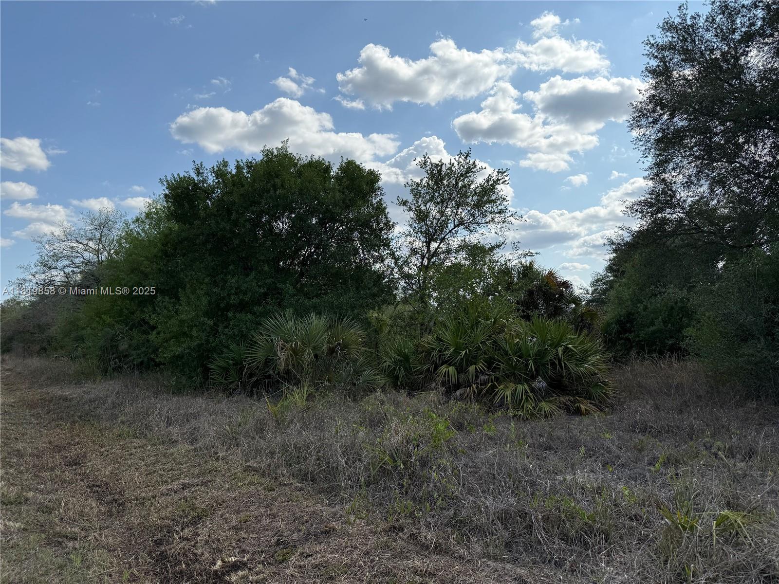 120 N Verda St, Clewiston, Florida image 3