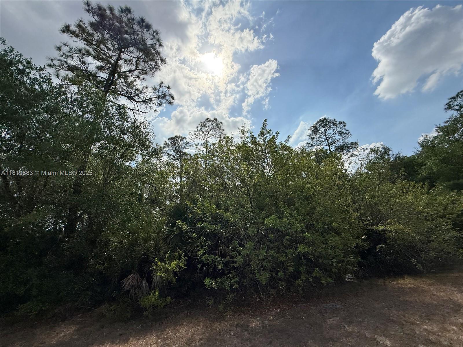 124 Hunting Club Ave, Clewiston, Florida image 10