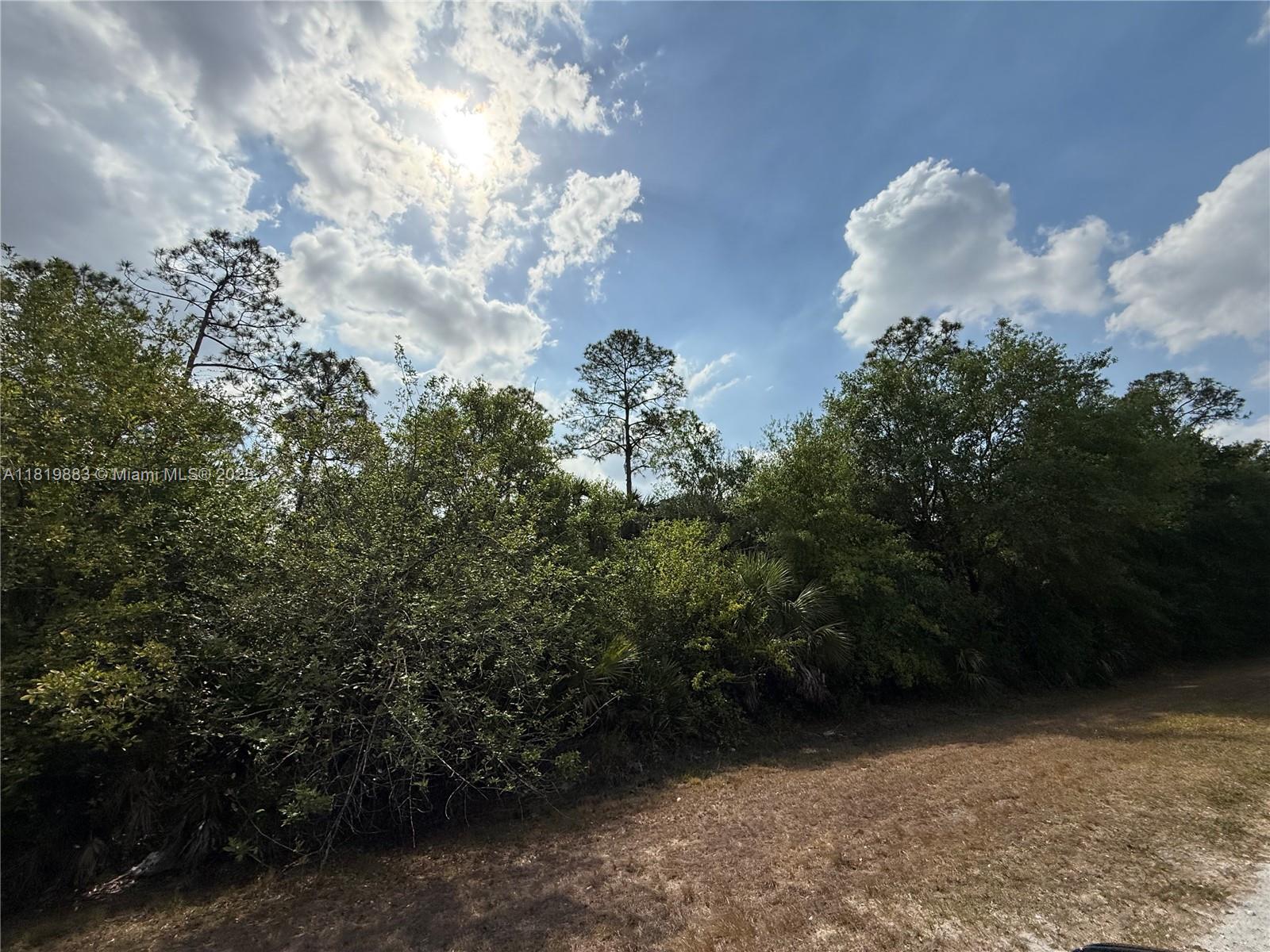 124 Hunting Club Ave, Clewiston, Florida image 11