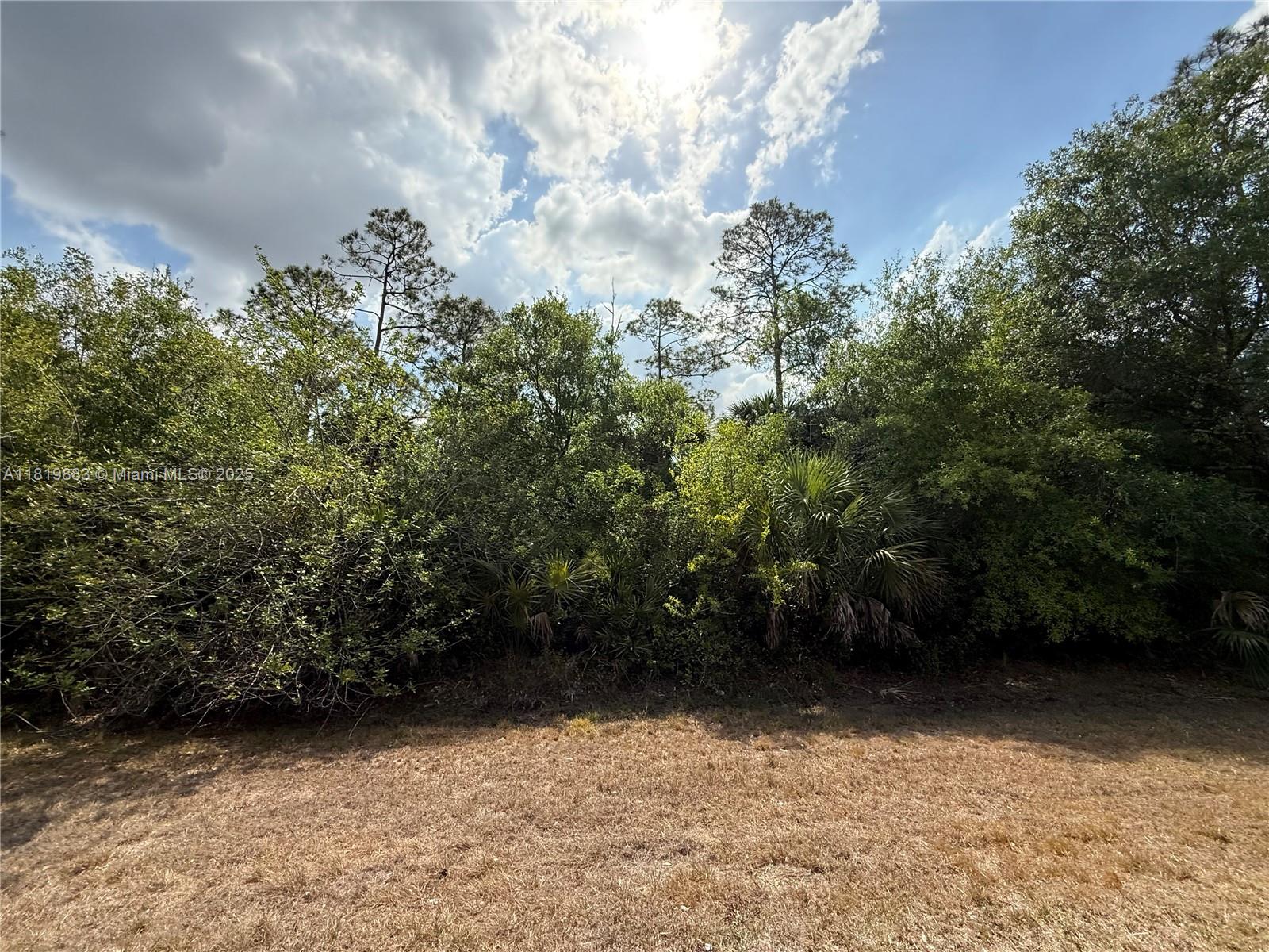 124 Hunting Club Ave, Clewiston, Florida image 12