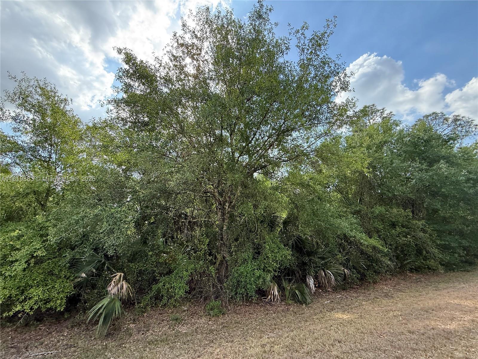 124 Hunting Club Ave, Clewiston, Florida image 13