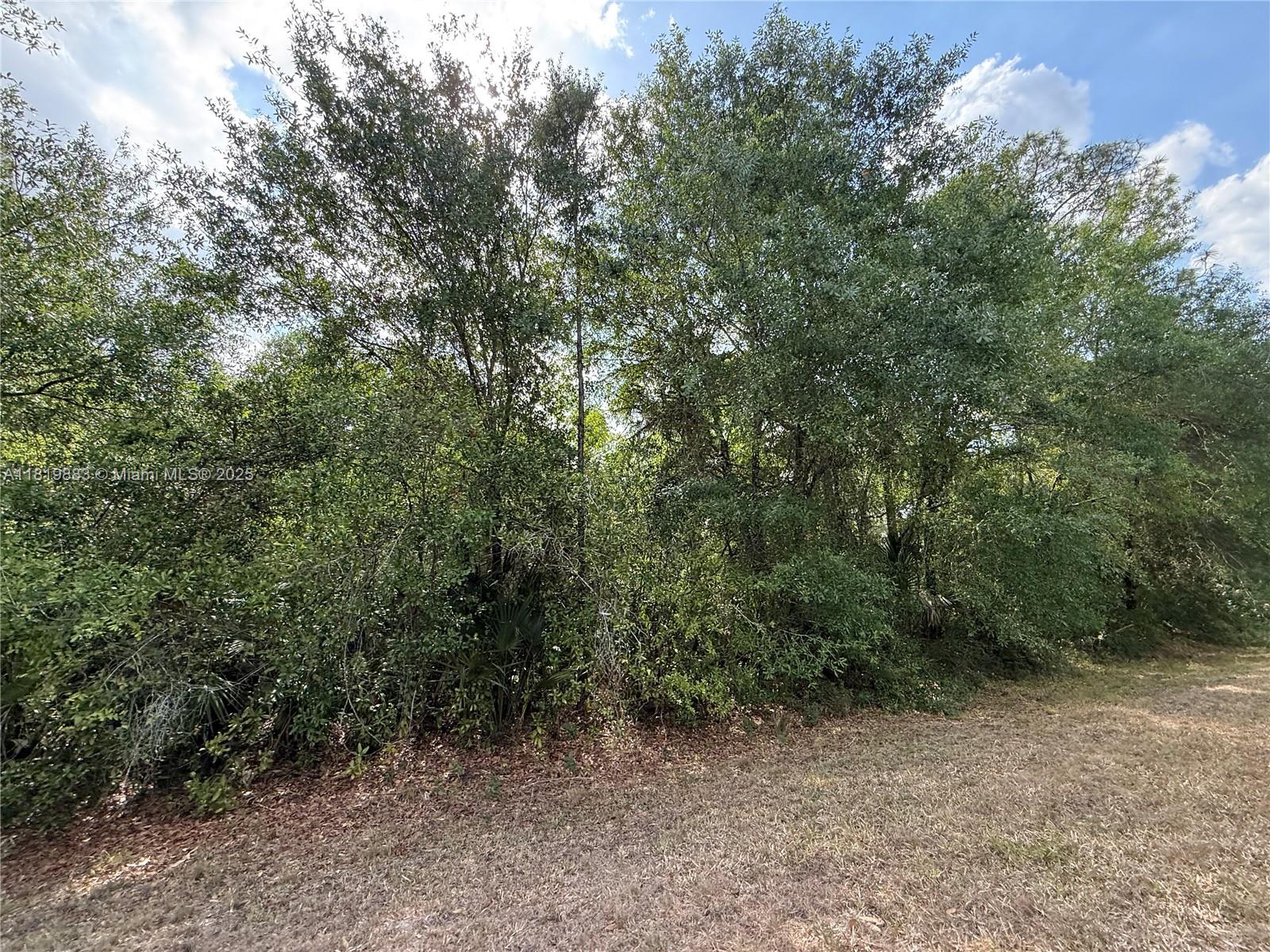 124 Hunting Club Ave, Clewiston, Florida image 14