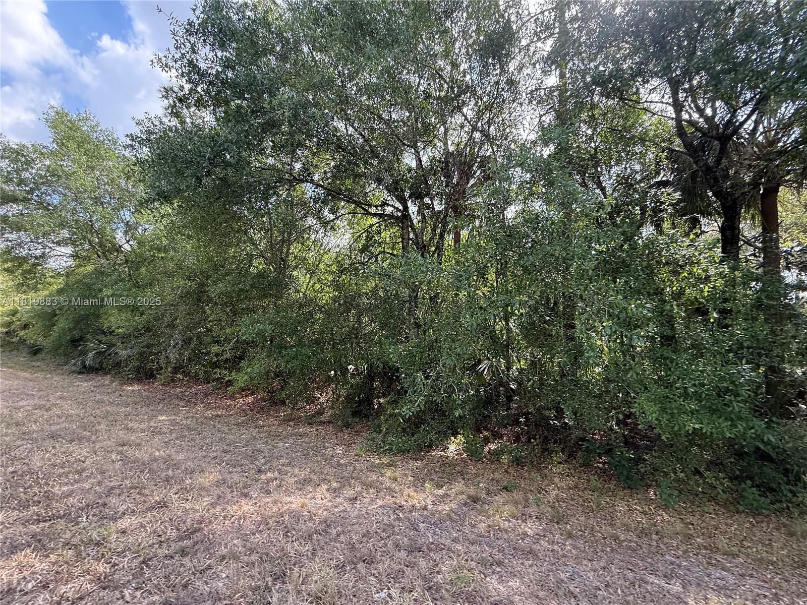 124 Hunting Club Ave, Clewiston, Florida image 15