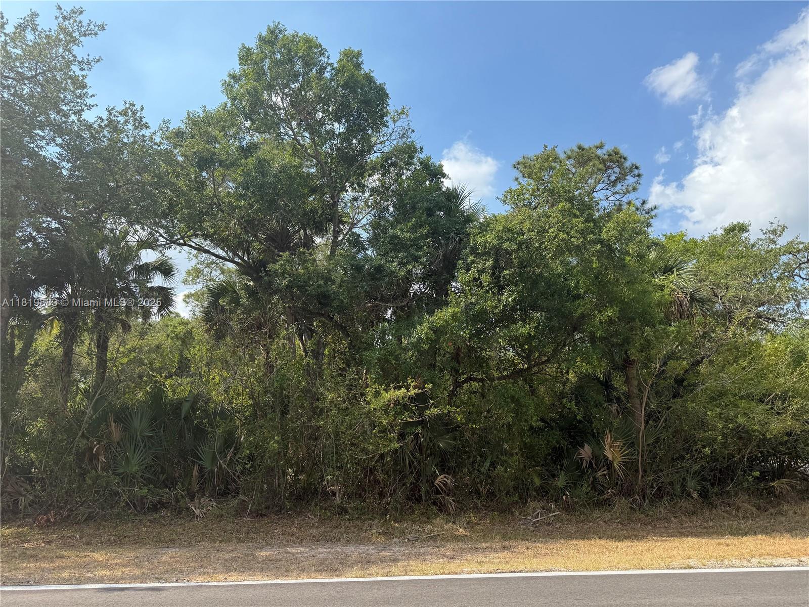 124 Hunting Club Ave, Clewiston, Florida image 2