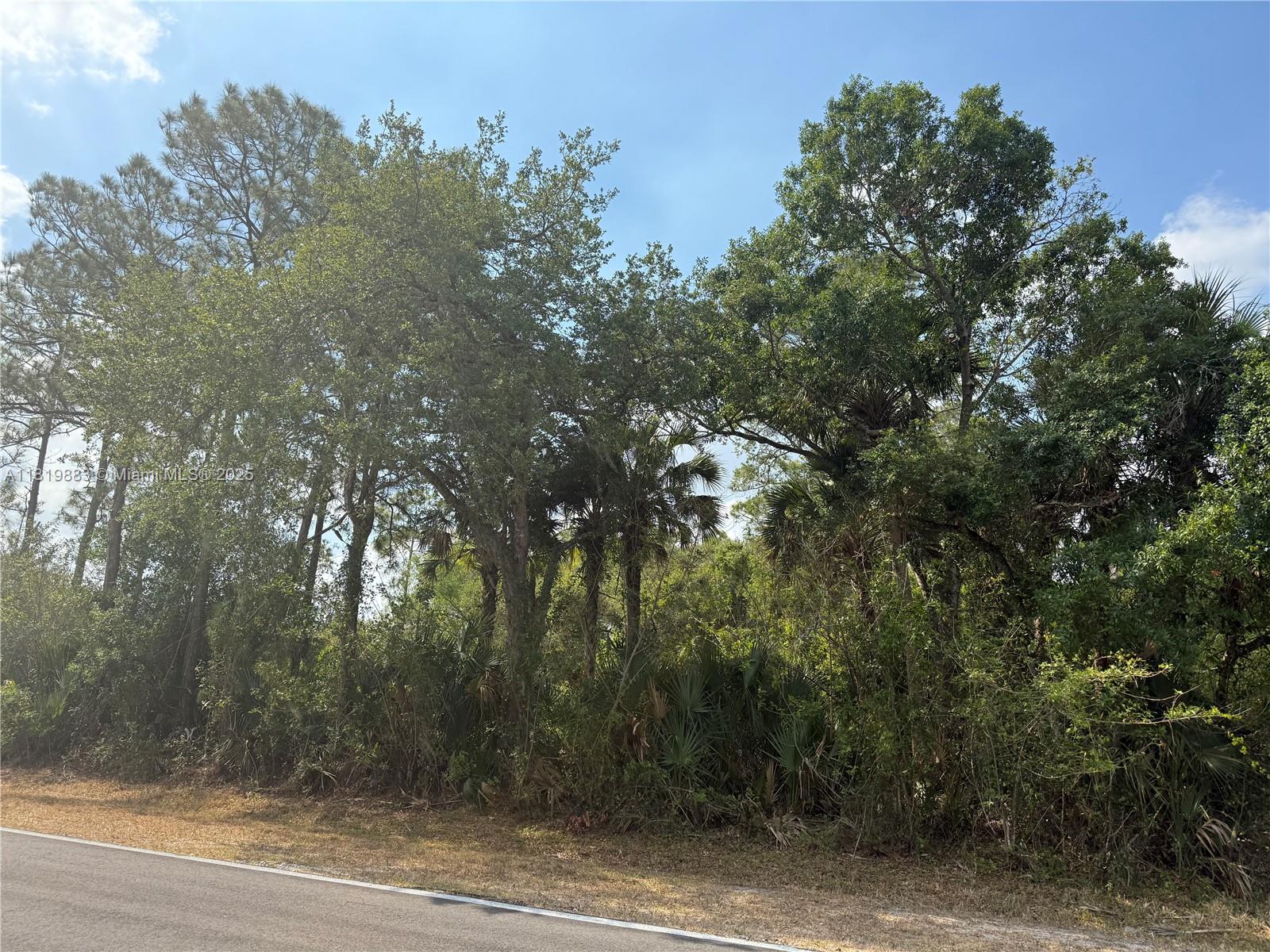 124 Hunting Club Ave, Clewiston, Florida image 3