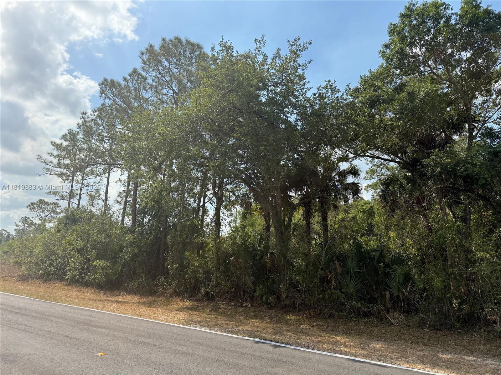 124 Hunting Club Ave, Clewiston, Florida image 4