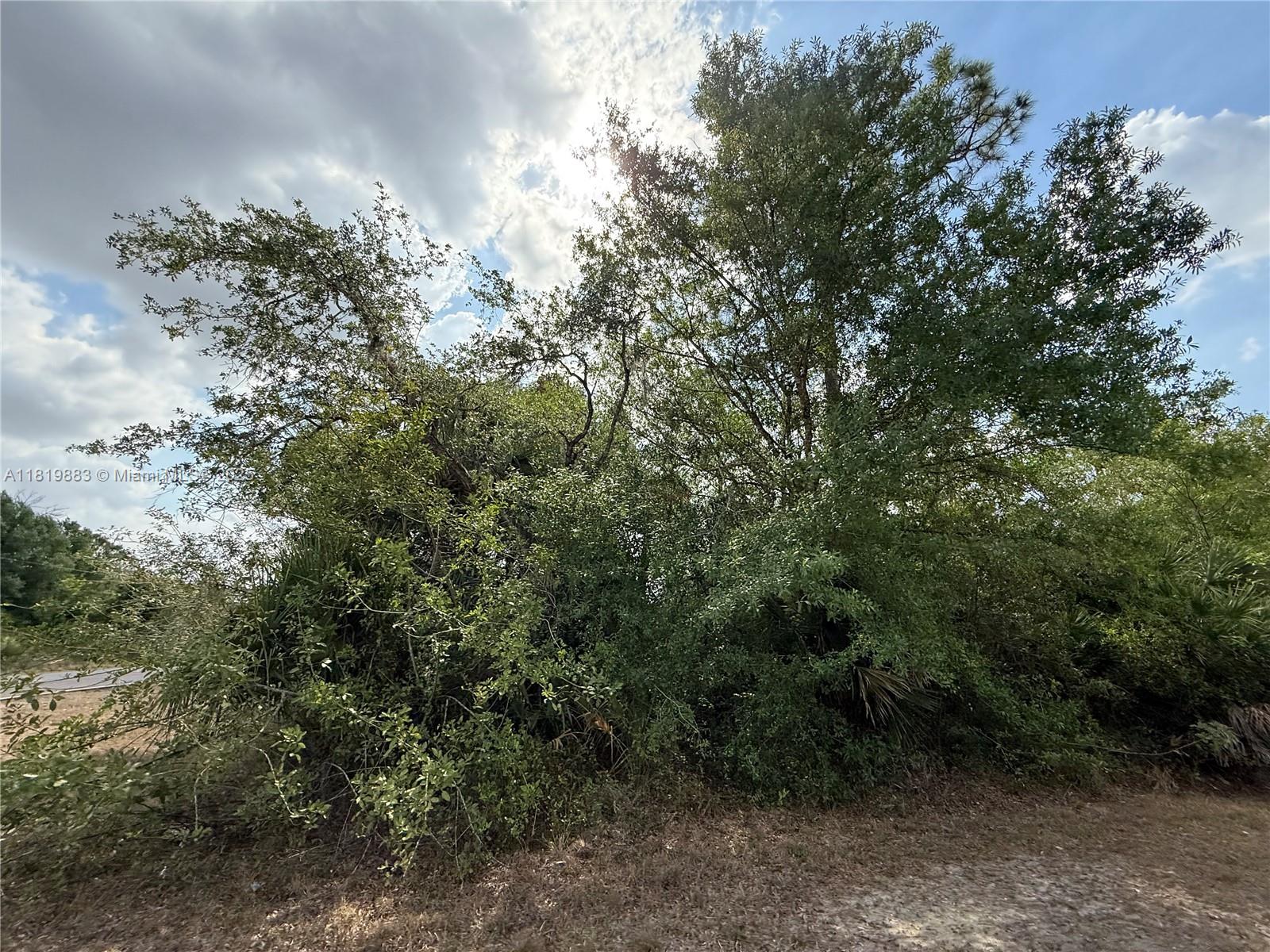 124 Hunting Club Ave, Clewiston, Florida image 9