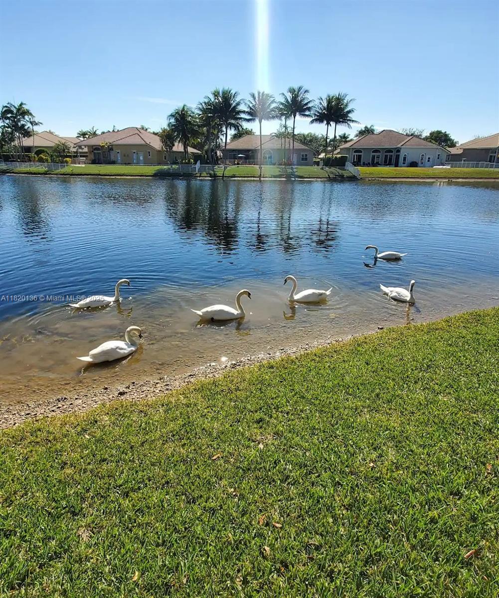 4591 SW 131st Ter, Miramar, Florida image 27