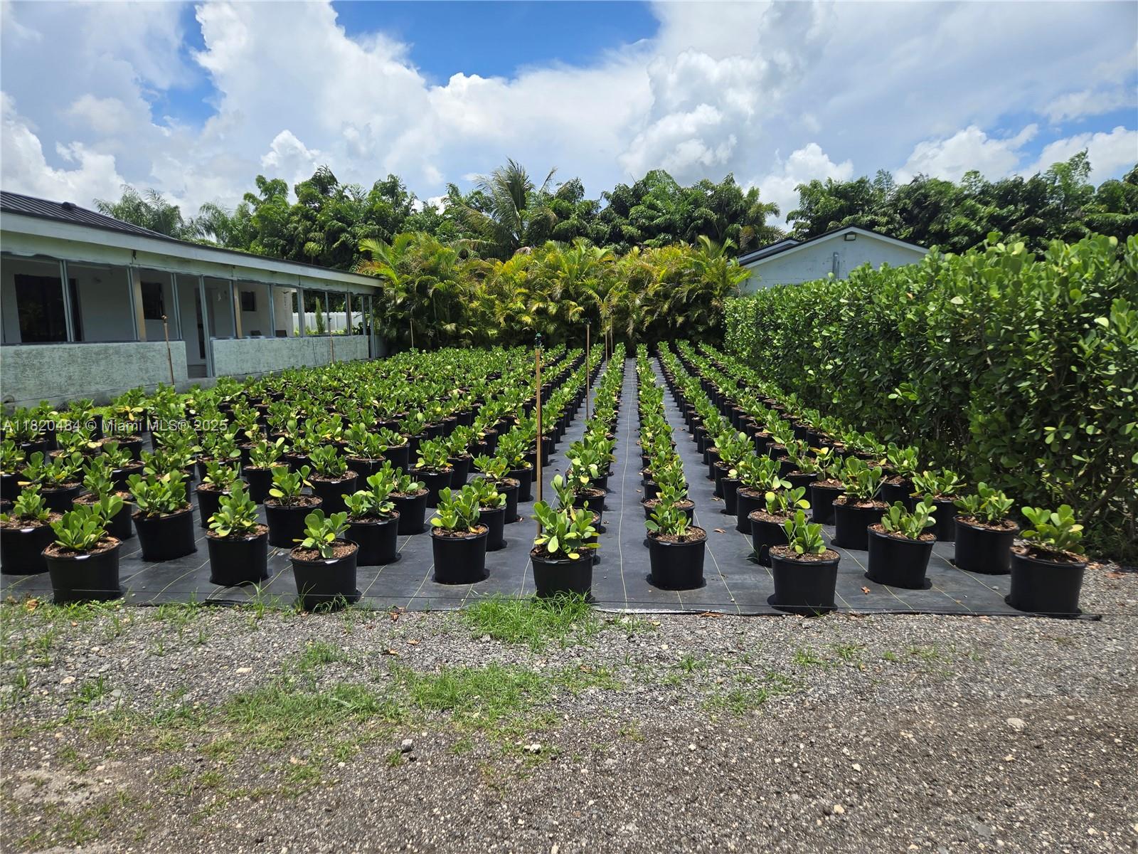23421 SW 217th Ave, Homestead, Florida image 7