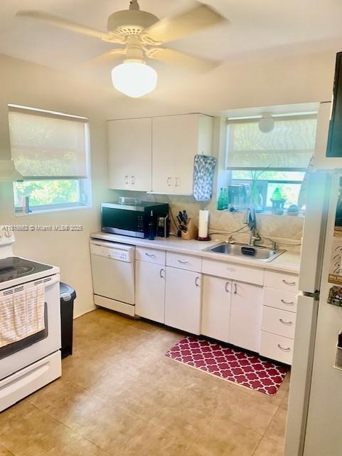 Property photo # 3
