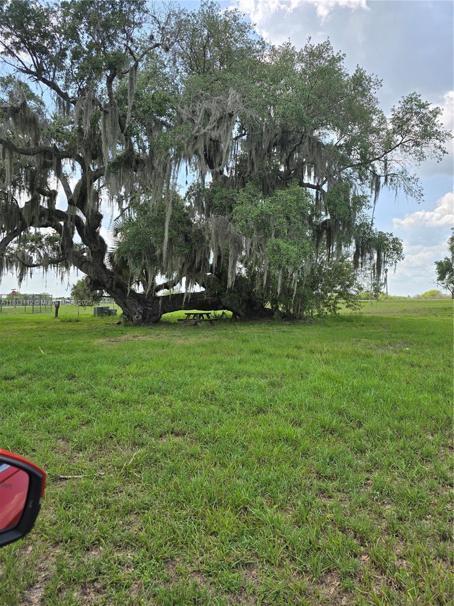 4508 Fire Court, La Belle, Florida image 3