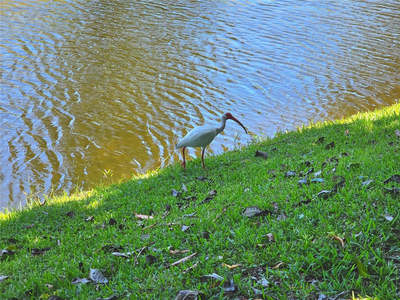 1711 SW 22nd St, Boynton Beach, Florida image 31