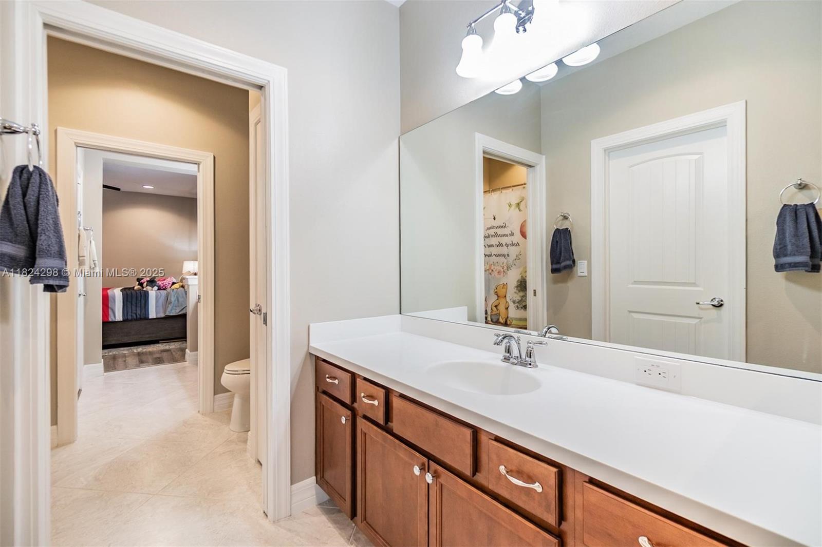 10313 Scarlet Chase Dr, Riverview, Florida image 28