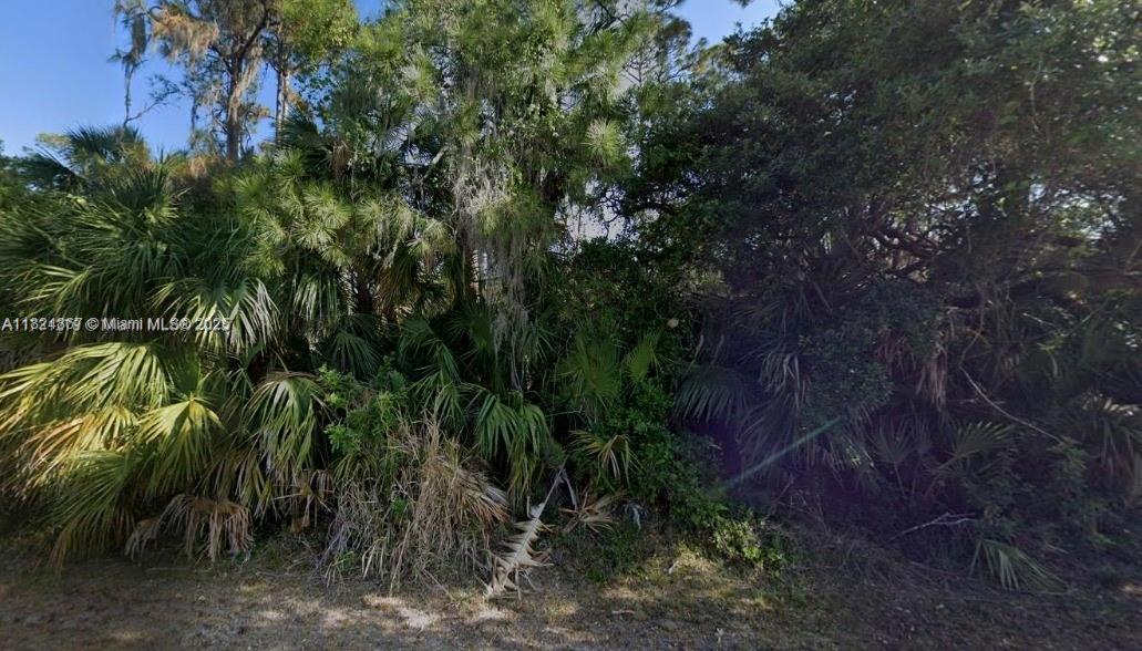 18422 Oxford Ave, Port Charlotte, Florida image 2