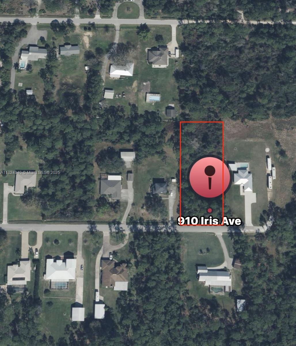 910 Iris Avenue, Sebring, Florida image 1