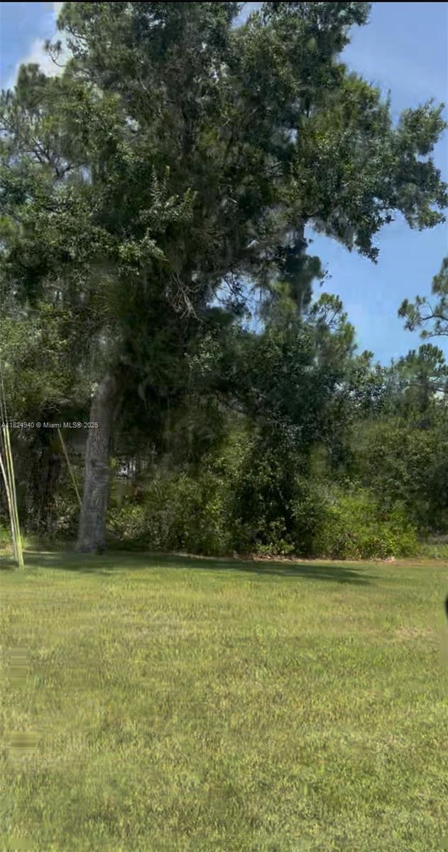 910 Iris Avenue, Sebring, Florida image 2