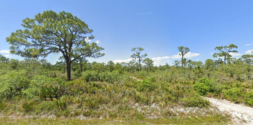 664 Hallmark Ave, Lake Placid, Florida image 2