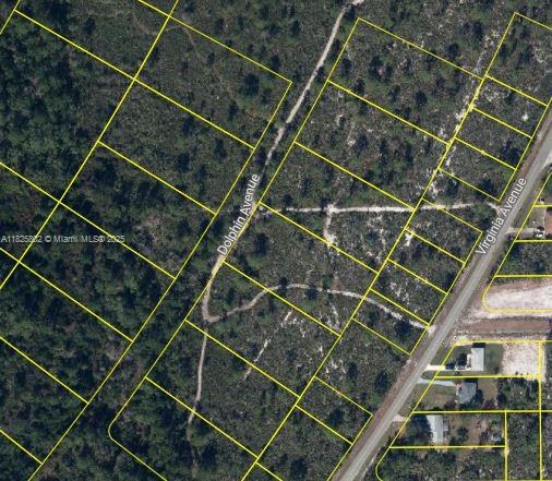719 Dolphin Ave, Lake Placid, Florida image 1